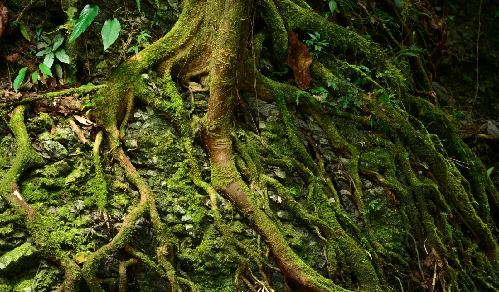 principais lições do relatório do IPCC
