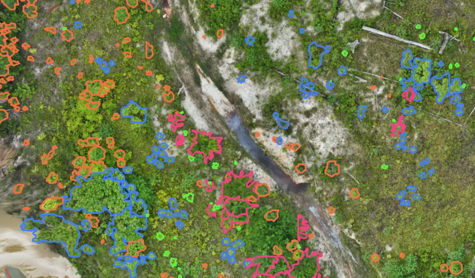 Large-scale reforestation monitoring