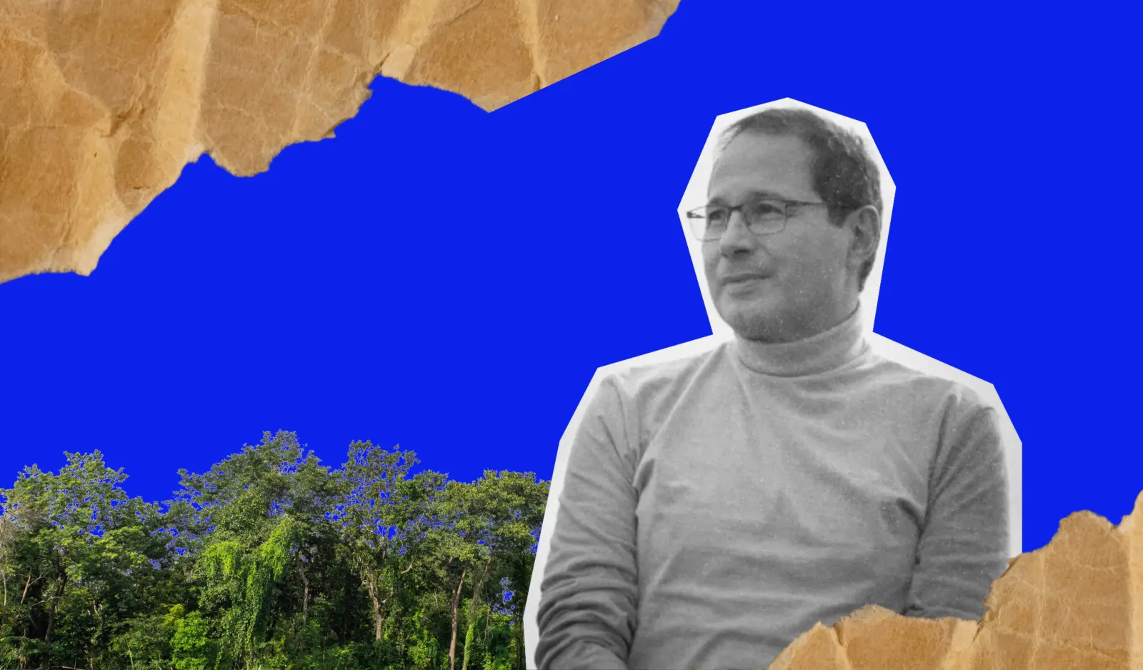 A questão não é financiar o reflorestamento; é com o próprio instrumento