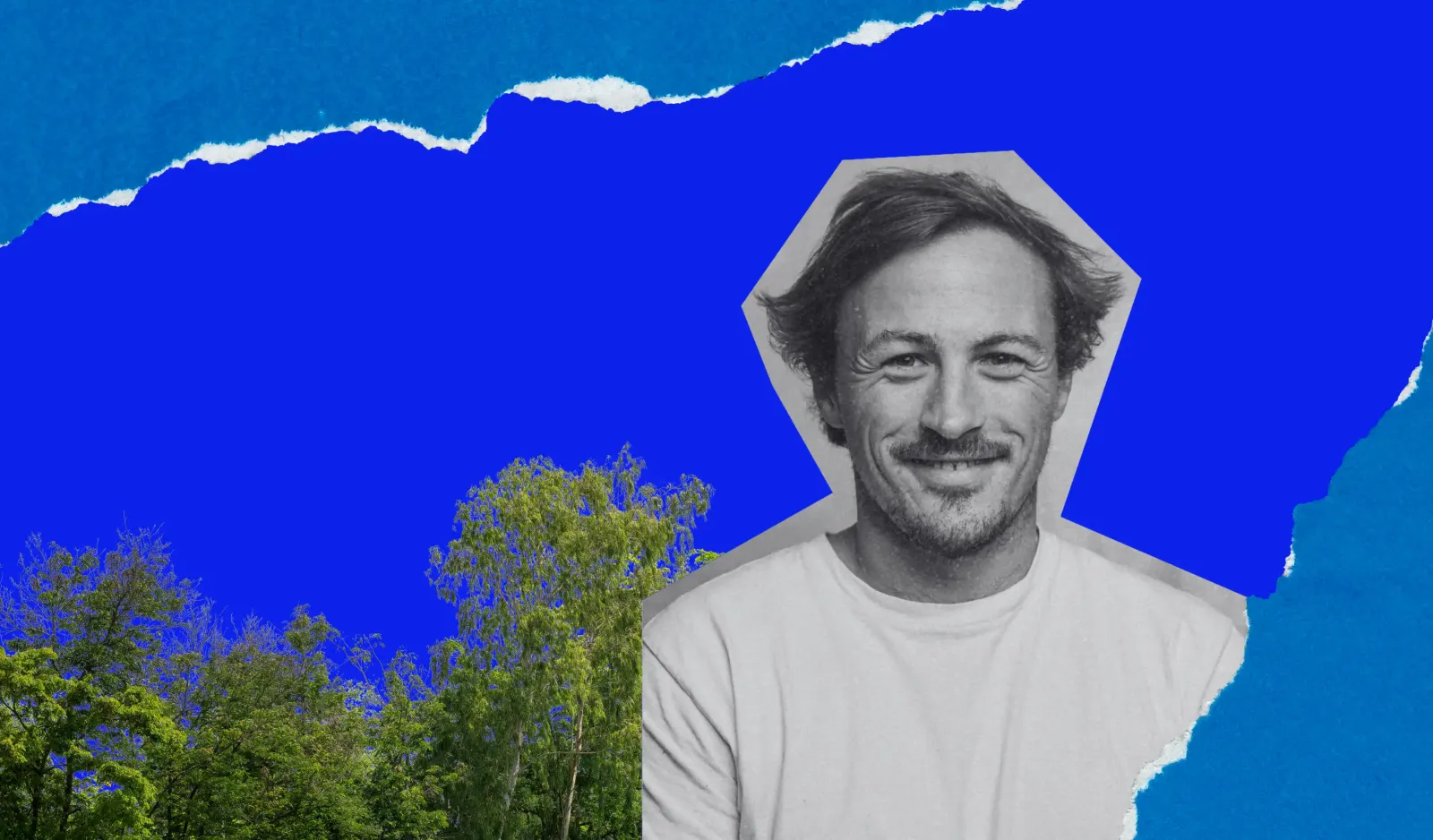As empresas que compram créditos de carbono devem ser aplaudidas, não vistas como greenwashing