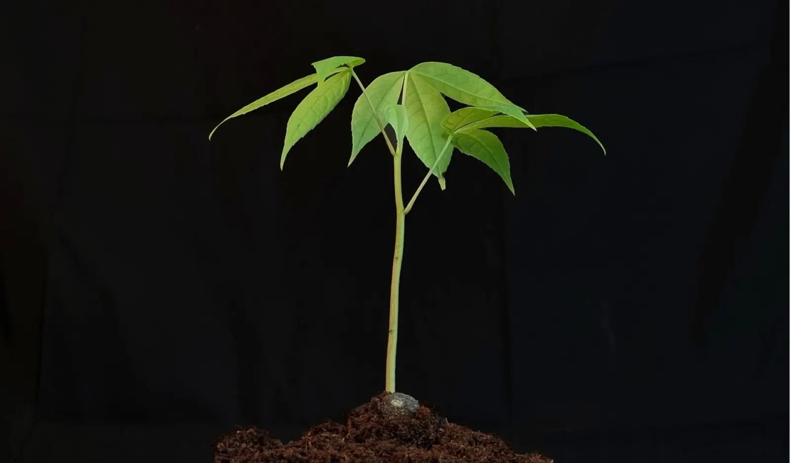 What to include in my ESG report