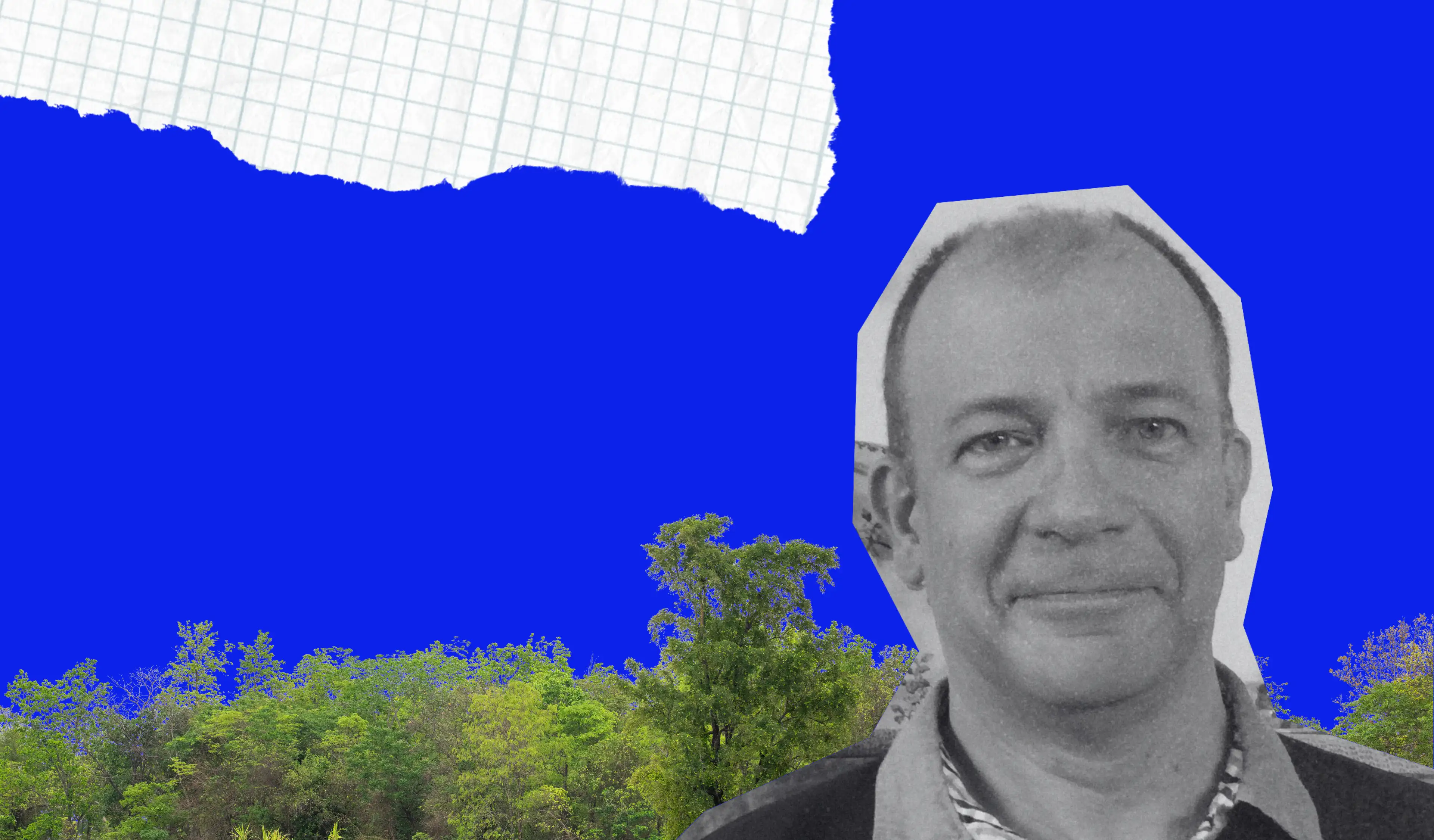 Buyers and Investors Are Concerned About Reforestation-Credit Quality