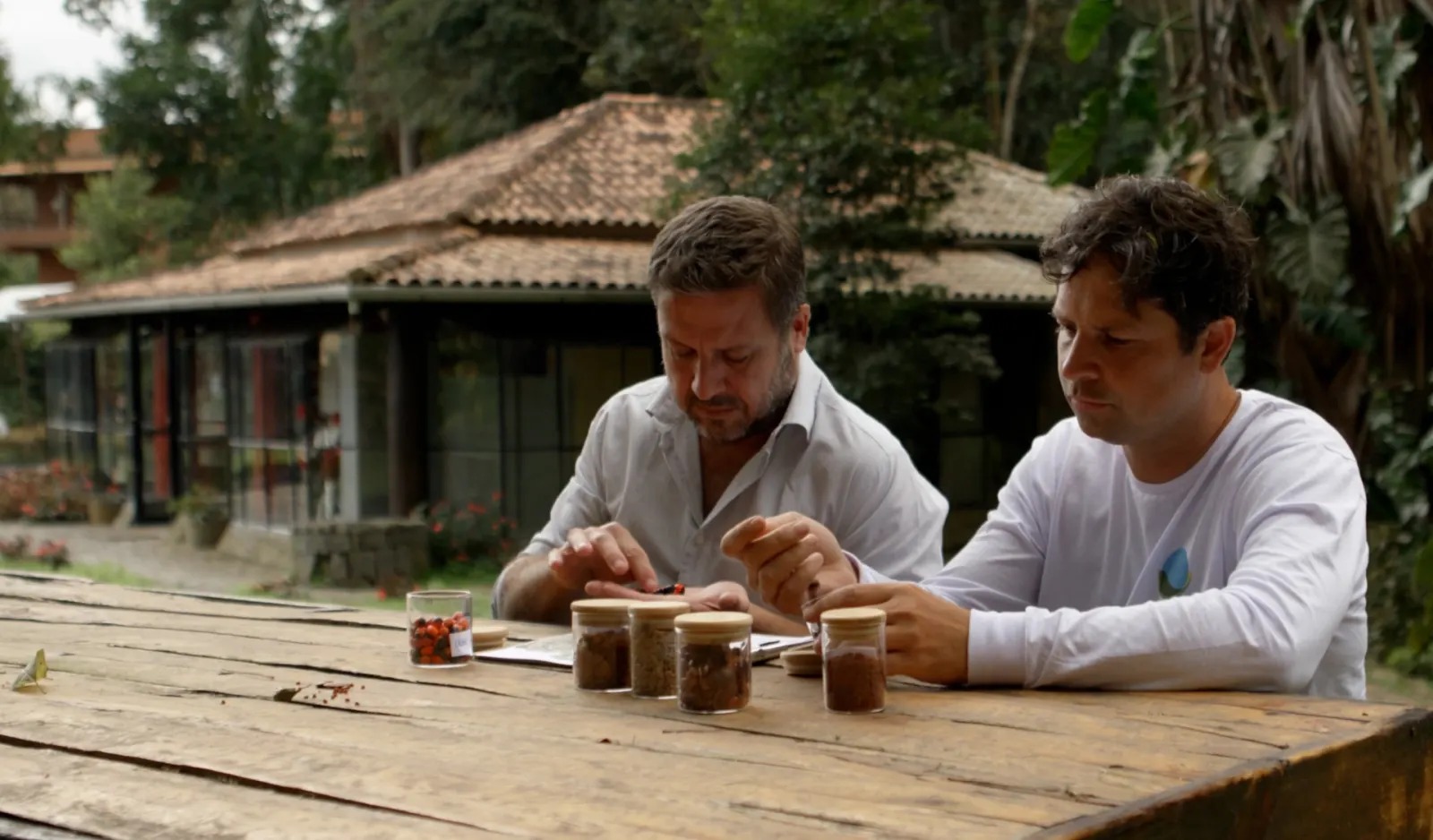 Example reforestation project: local communities use drones to reforest Brazilian forests