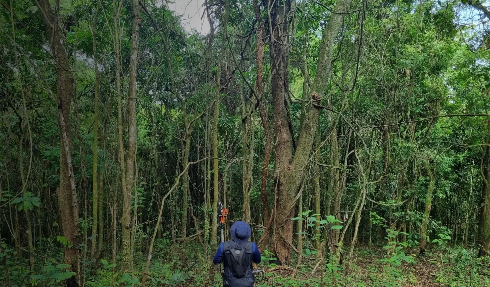 The New Rules of ARR: How Projects Will Be Selected in 2026