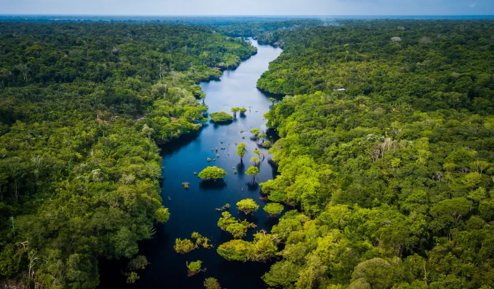 MORFO au One Forest Summit à Libreville les 1er et 2 mars 2023