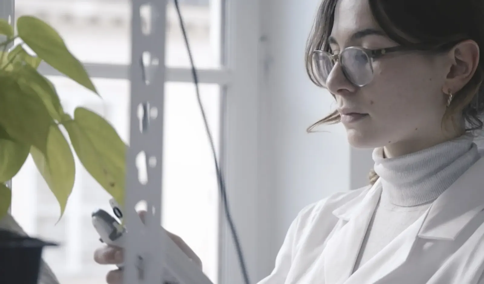 a laboratory researcher carries out tests on plants