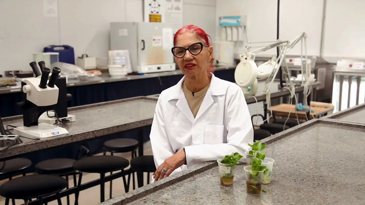 Fatima Piña-Rodriguez in the UFSCar lab, with tissue-cultured native seedlings on the bench