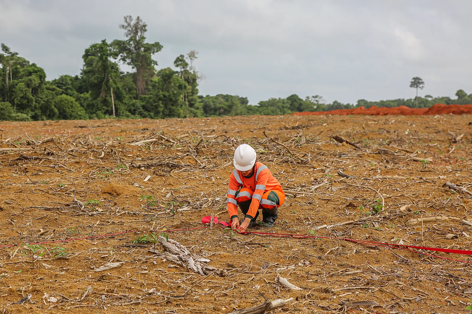 Um agente de campo demarcando uma parcela de medição no substrato de mineração